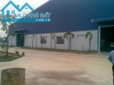 CHO THUÊ NHÀ KHO, XƯỞNG MỚI XÂY, CÓ THẨM DUYỆT PCCC, CONTAINER RA VÀO THOẢI MÁI, GIÁ RẺ