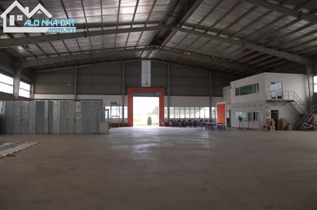 Cho thuê kho xưởng quận 12, nhiều diện tích, giá rẻ