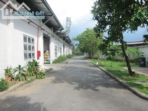 Cho thuê kho xưởng 5400m2, Lê Văn Khương, Quận 12 - 170 triệu