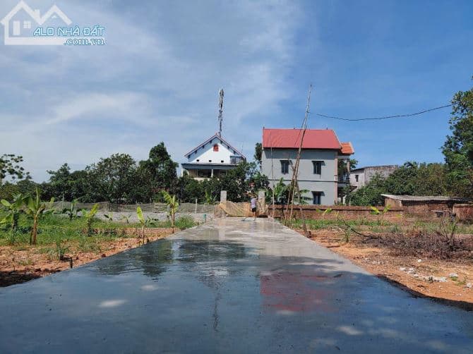 Bán Đất Khu Đồng Trầm - Tiên Dược, Sóc Sơn