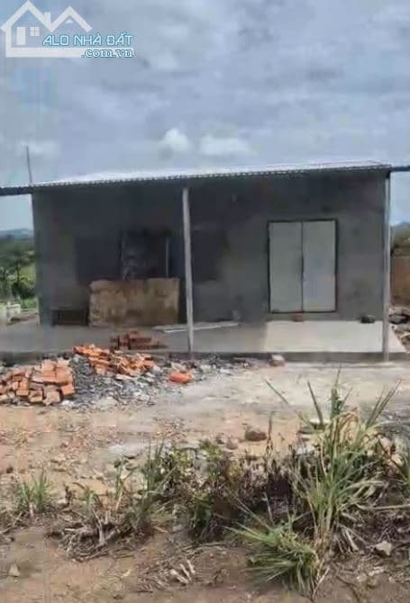 Cho thuê nhà đất Ngọc Phong, Tuy Hòa, Phú Yên - DT 2400m2