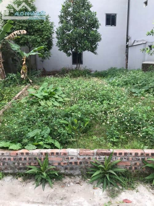 Bán đất thổ cư 72m² - Liên Bão, Tiên Du, Bắc Ninh - 1,55 tỷ