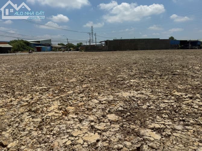 Đất 3 mặt tiền đẹp tại Thủ Thừa, Long An, đường Đỗ Trình Thoại