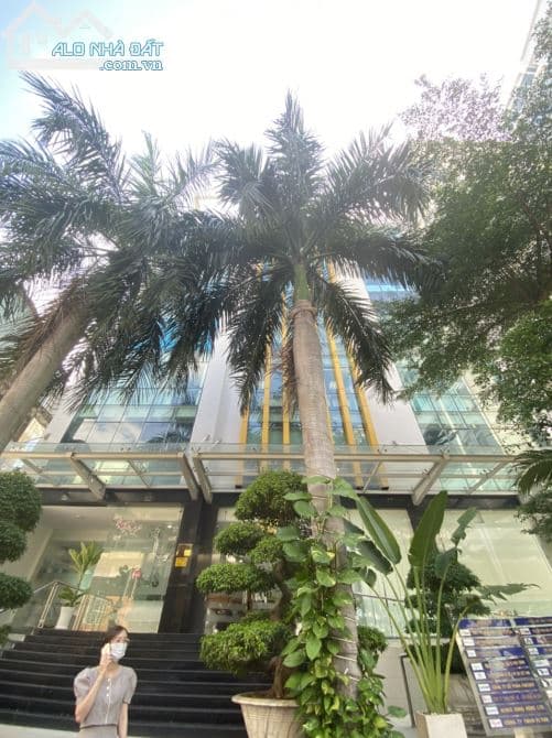 Tòa nhà VP Bcons - Bình Thạnh - 45m2 - 200m2 - giá chỉ 11$/m2 đã gồm PQL