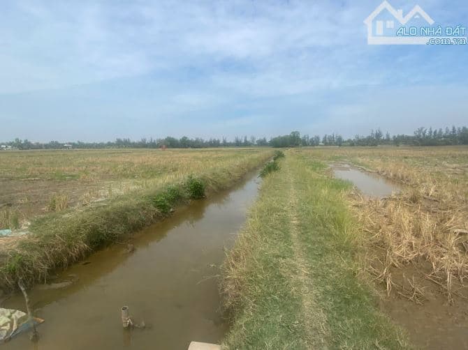 Bán đất nông nghiệp Bình Chánh giá rẻ 2.940m2 giá 3.3tỷ