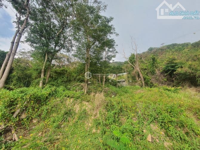 Bán đất biệt thự view biển Bãi Trước, Trần Phú, Vũng Tàu – 500m²