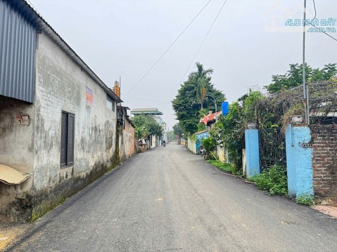 Đất 100m2, trục chính kinh doanh, Phú Cát, Hà Nội