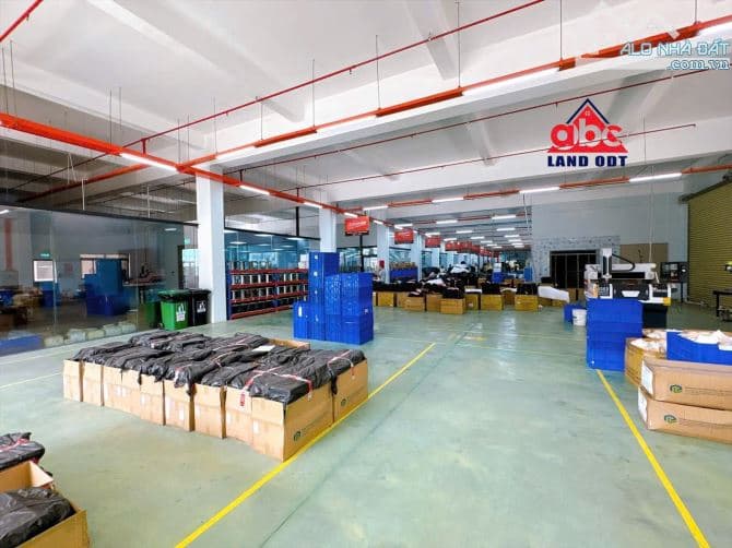 Cho thuê nhà xưởng độc lập 1.56ha KCN Long Thành, Đồng Nai