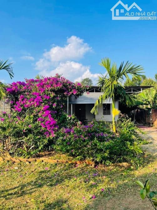 Bán đất thổ vườn có nhà cấp 4, rộng 2541m2, giá ngộp 600 triệu, ngay ủy ban xã Tân Hiệp